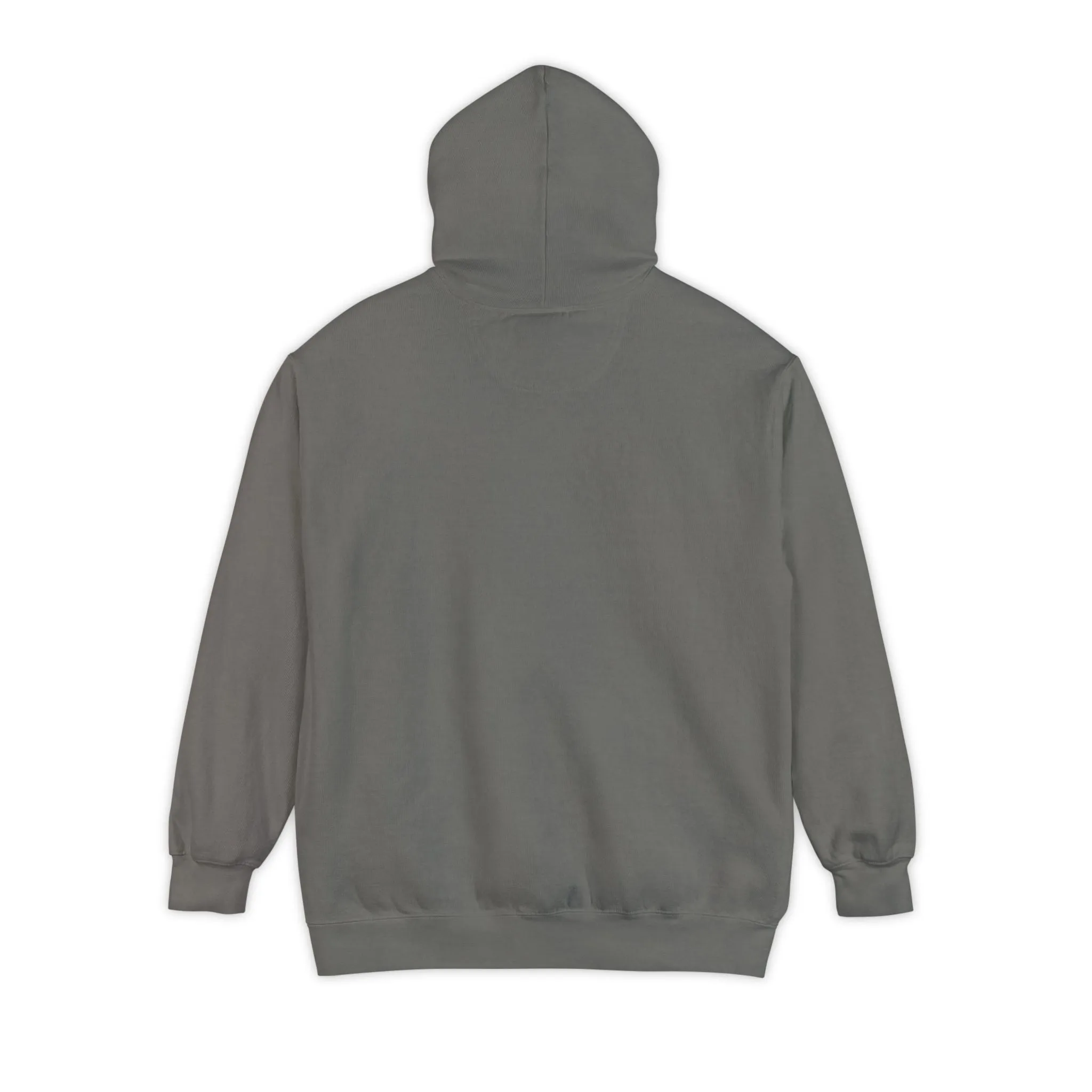 CFBS Go Heavy V2 - Unisex Hoodie