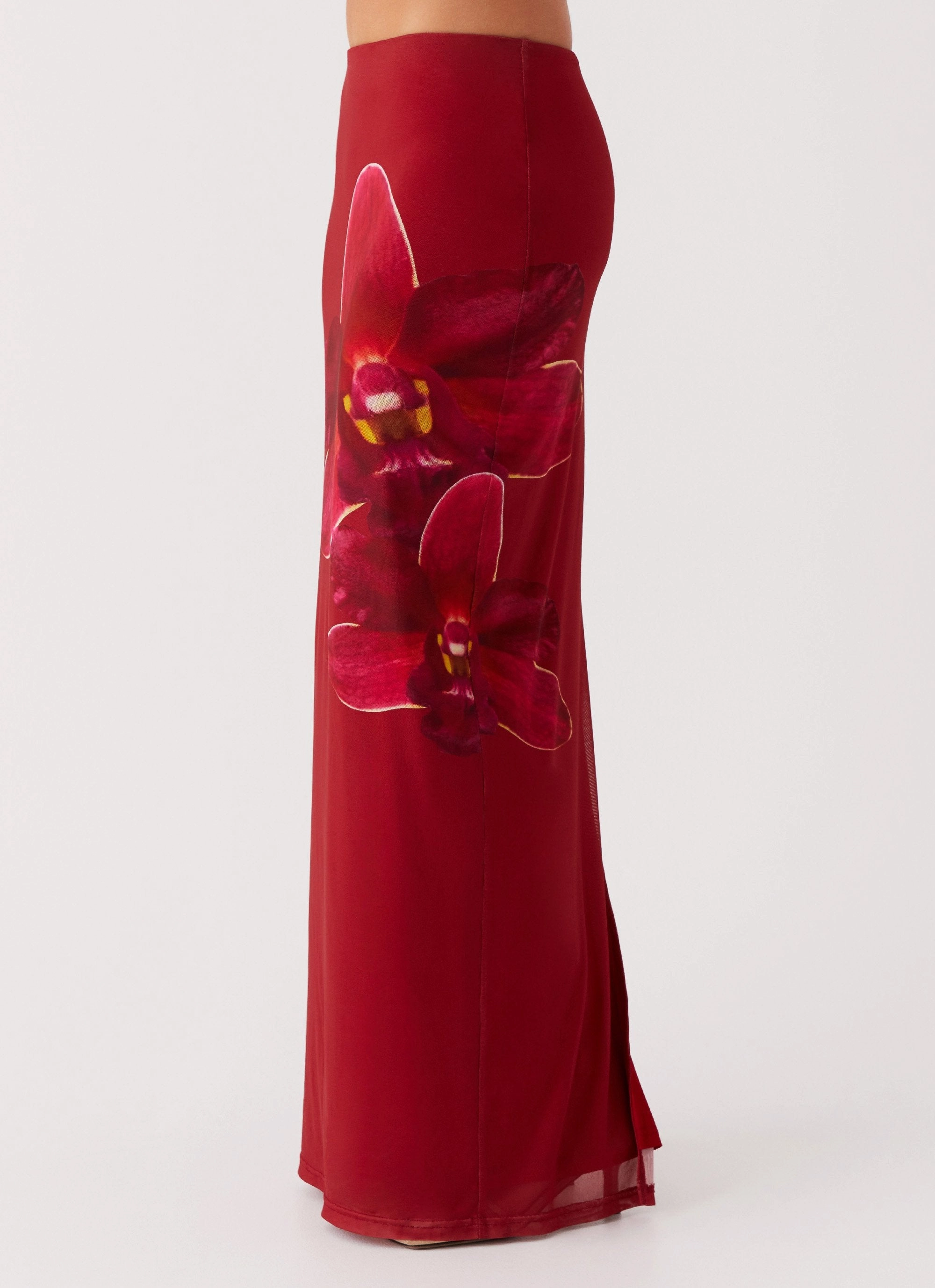 Waiting For Dawn Mesh Maxi Skirt - Rosa Day Ready