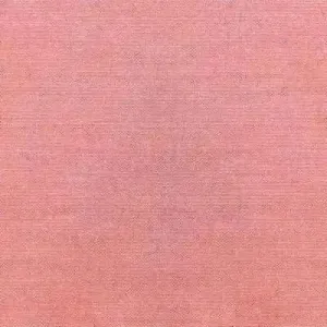 Chambray - Coral