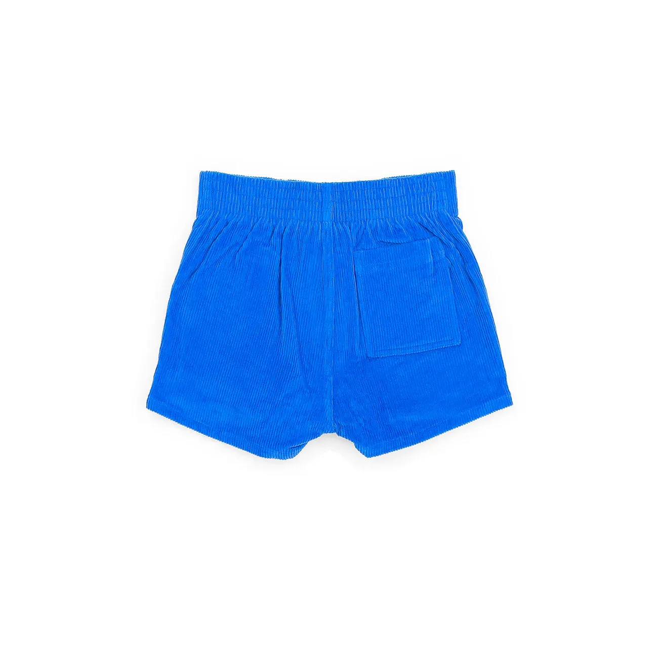 Corduroy Shorts in Blue