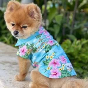 Diamond Head Hawaiian Dog's Shirts | Hawaiian Scenic Series | LIght Blue