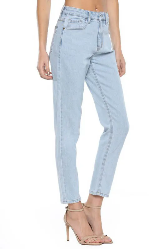 Dion High Waisted Straight Jean