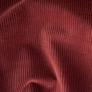 Etro Couture Spiced Rust Mid Wale Cotton Corduroy (Made in Italy)