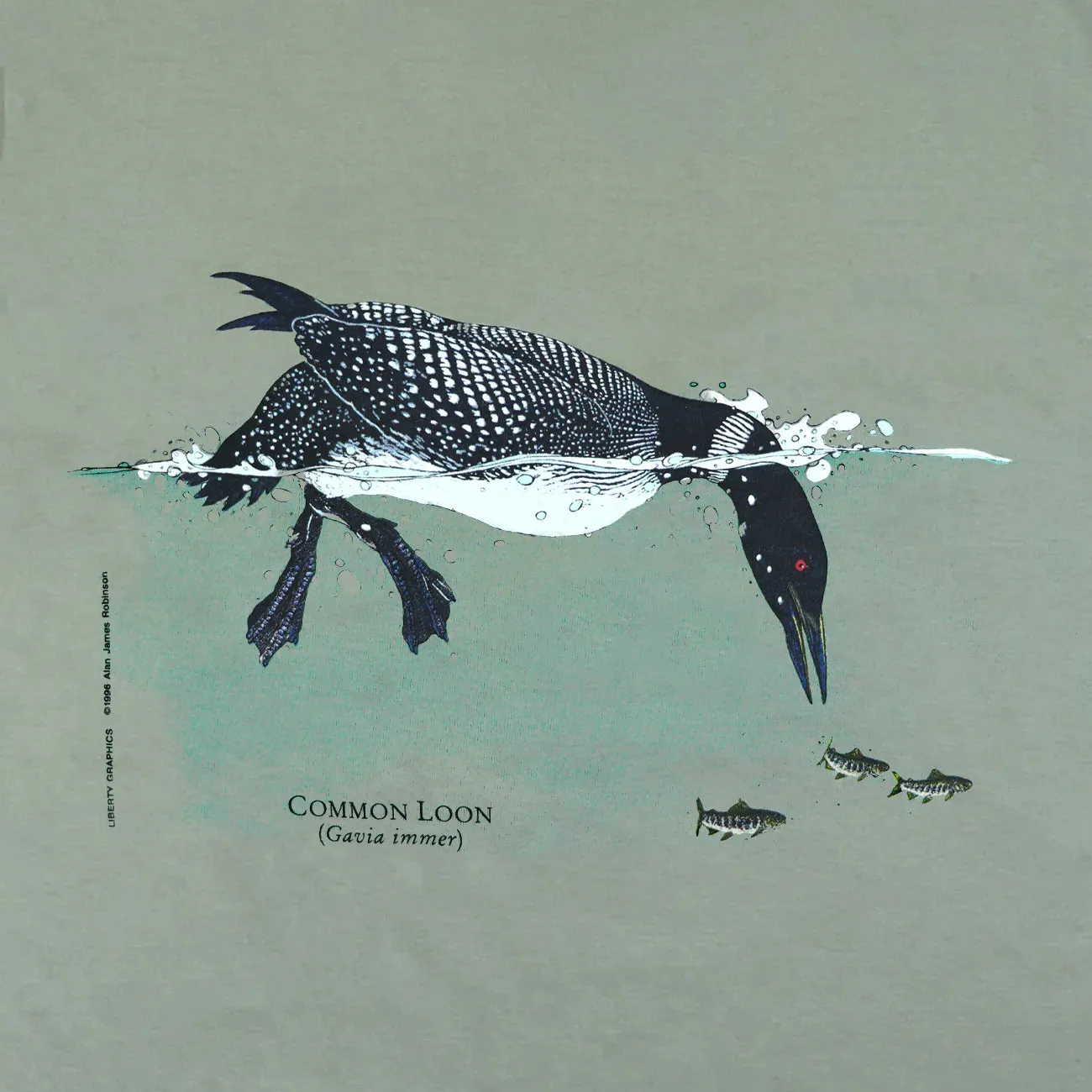 Feeding Loon Unisex Adult T-Shirt by Liberty Graphics
