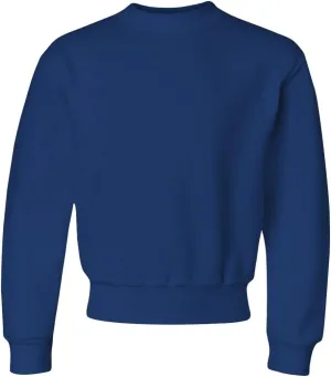 Jerzees boys Fleece Sweatshirts, Hoodies & Sweatpants Shirt, Sweatshirt - Royal Blue, X-Large US