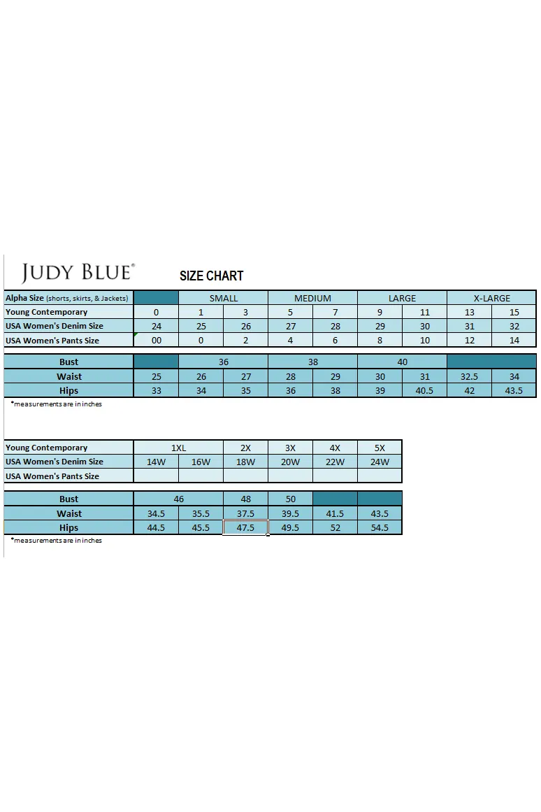 Judy blue High Waist Red Garment Dyed 90's Straight Jeans (reg and curvy)