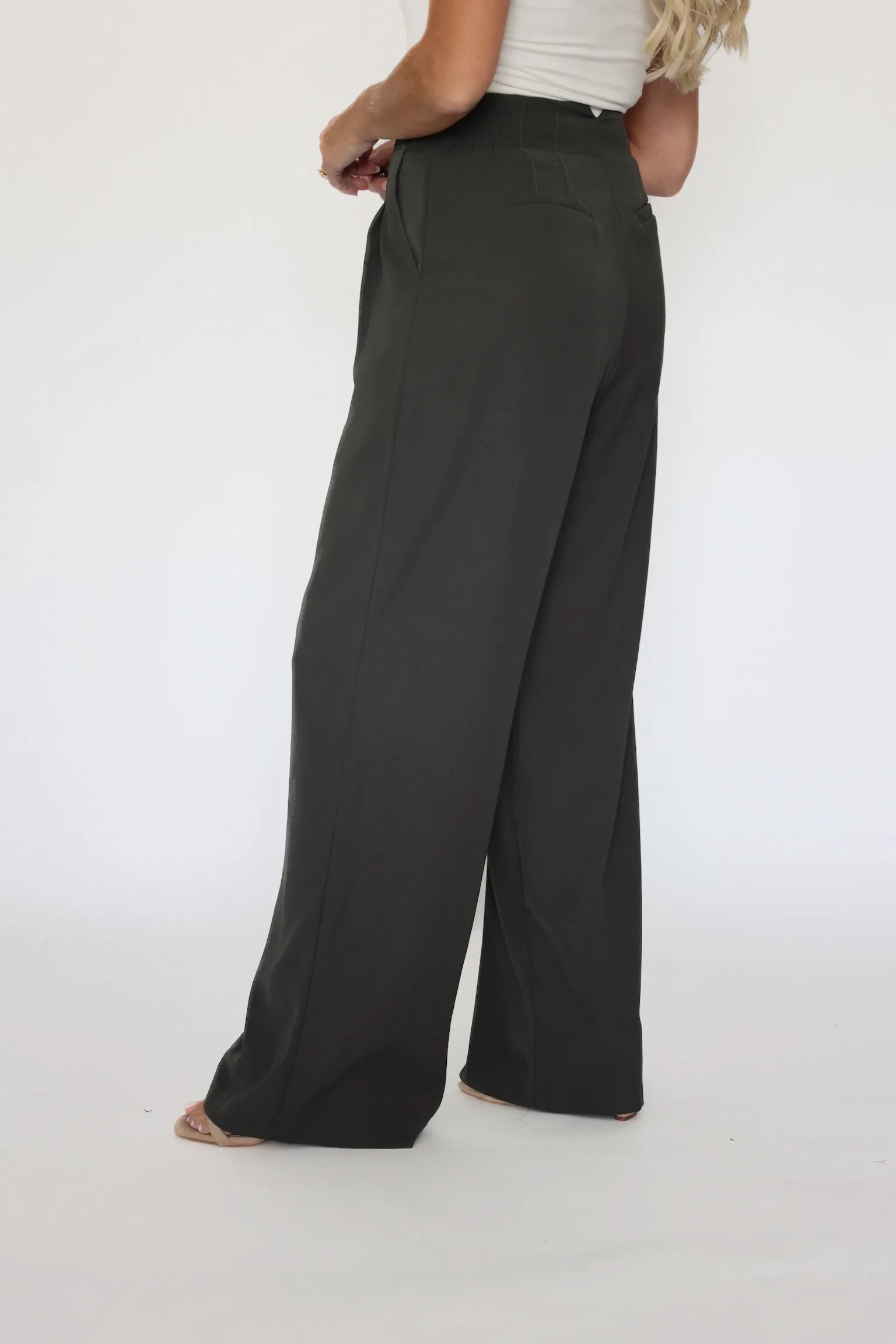 Performance Comfort Minimalist Look Malibu Wide Leg Pants - Dark Olive