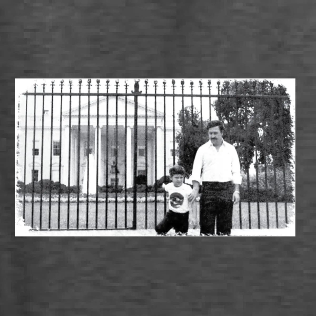 Pablo Escobar Medellin Cartel Cocaine Cowboys White House Picture Pop Culture Unisex Crewneck Graphic Sweatshirt