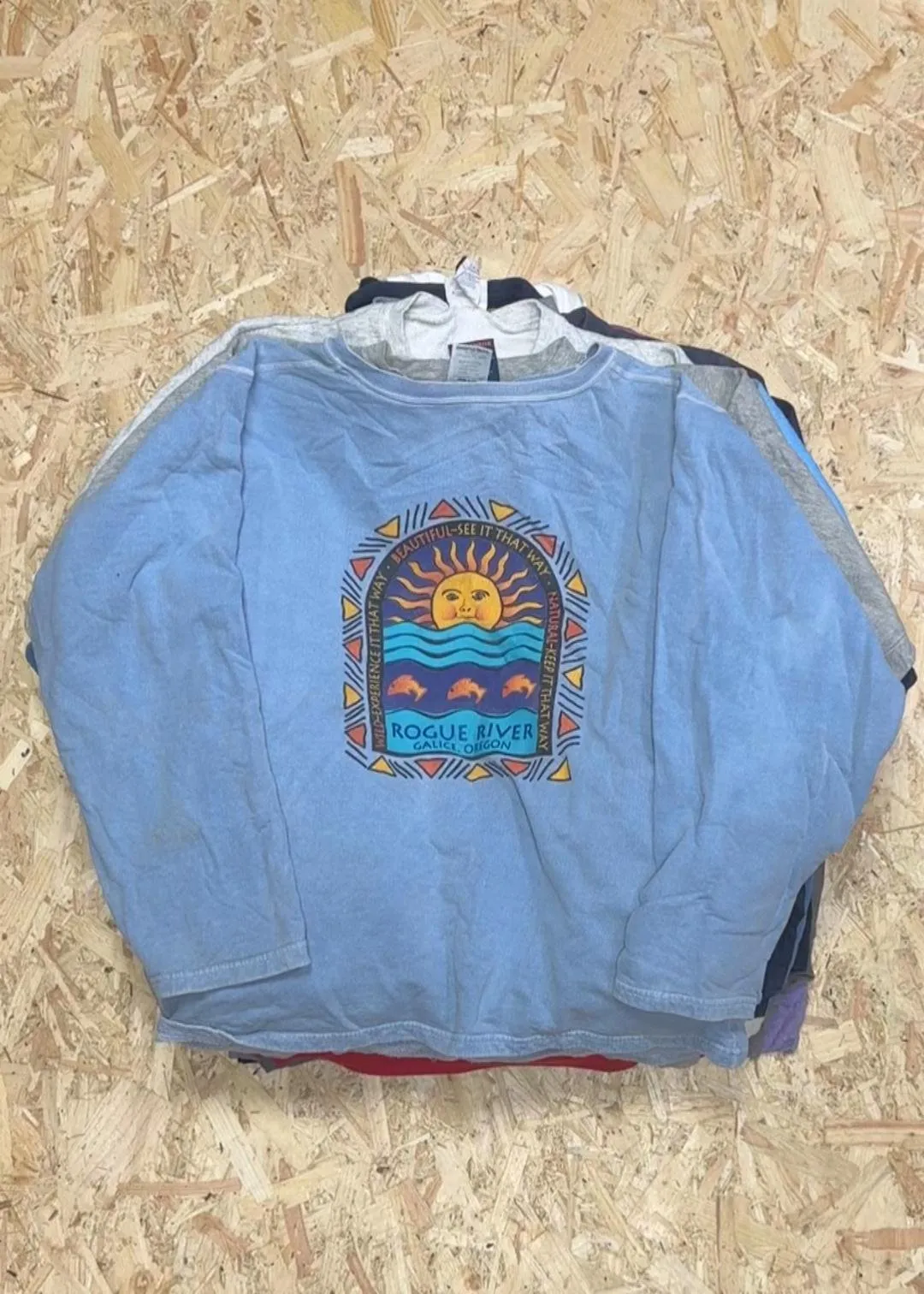 Printed and Embroidered Sweatshirts and Hoodies x 30