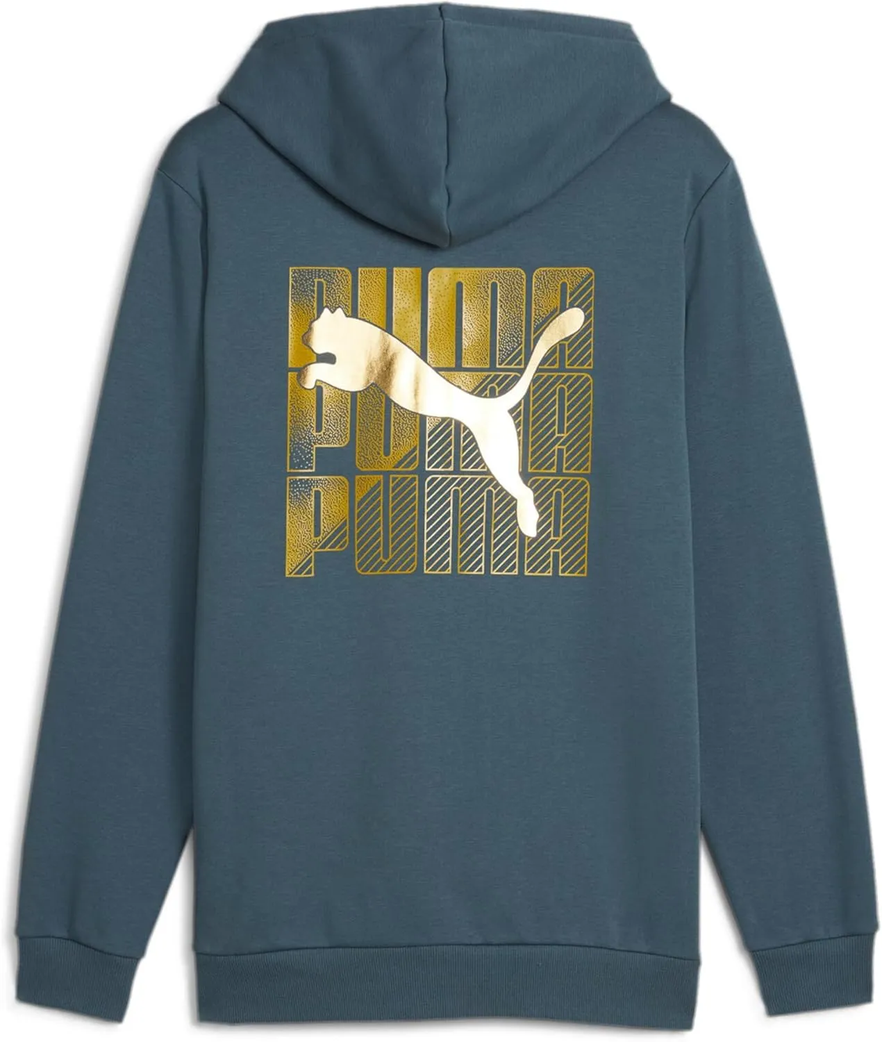 PUMA Men's Essentials Small Logo Full Zip Fleece Hoodie (Available in Big & Tall)
