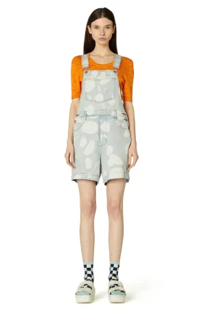 Squeaky Clean Overalls