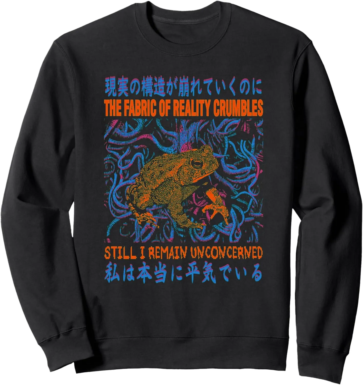 The Fabric Of Reality Crumbles Graphic Animal Frog Japanese Sweatshirt