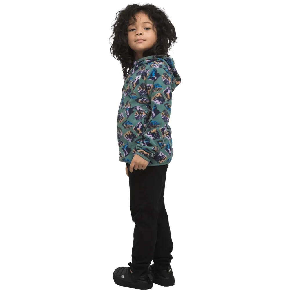 The North Face Kids Glacier Full Zip Hoodie