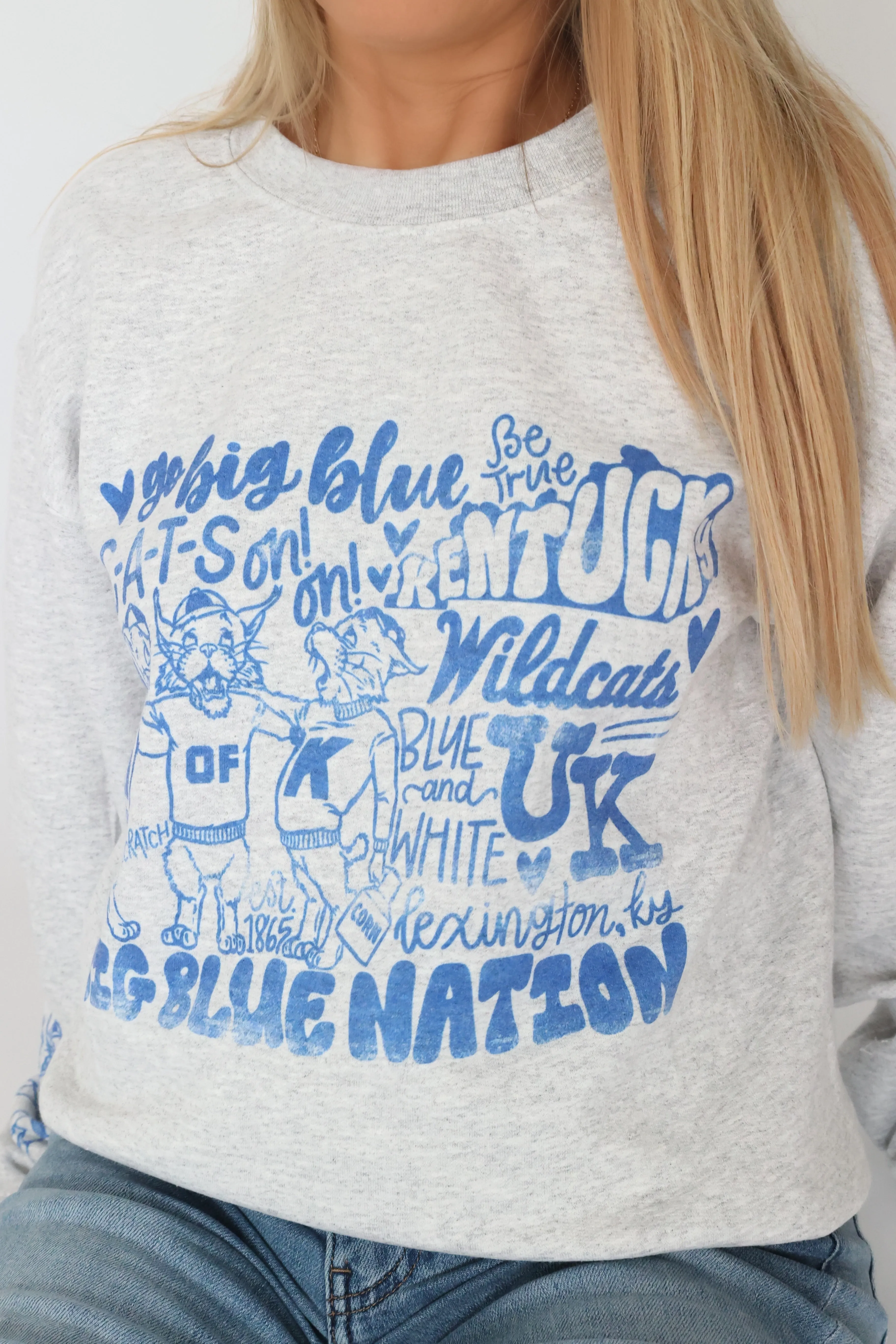 Retro design Brushed Interior Big Blue Nation Cats Sweatshirt